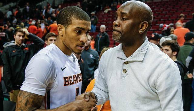 坛的青年才 坛的青年才